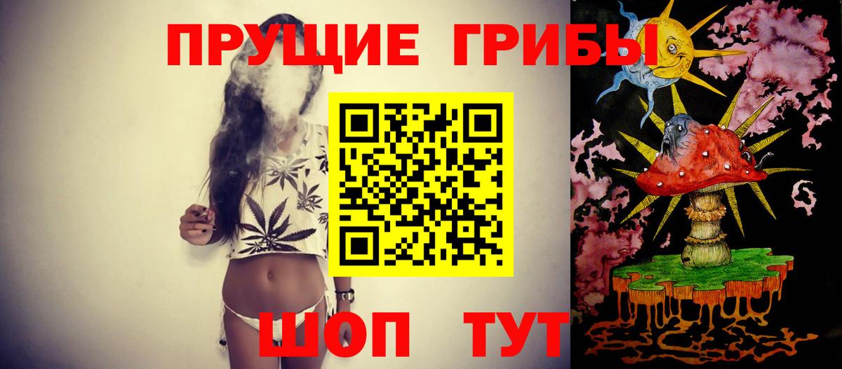 Псилоцибиновые грибы прущие грибы Ивантеевка