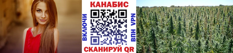 Конопля Bruce Banner Ивантеевка