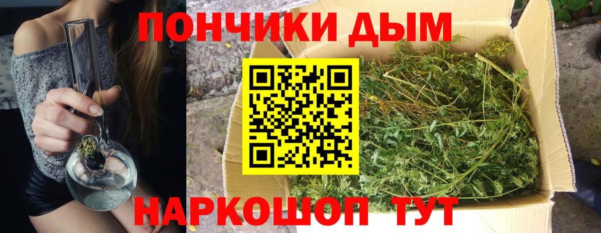 Каннабис планчик  Канабис сатива  Ивантеевка  Шишки марихуана OG Kush 